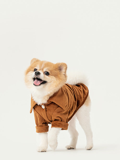 Stainway Shirt - Orange