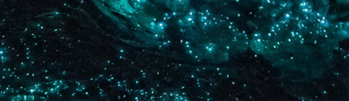 The Cave Insect Galaxy