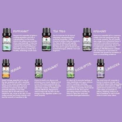 Essential Aromatherapy Oils - 100% Pure 14 Pack